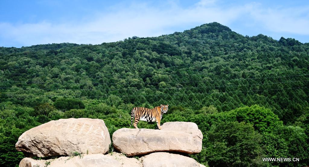 ?????? ????????? ??????? ????????? ?? ??????????? ??????