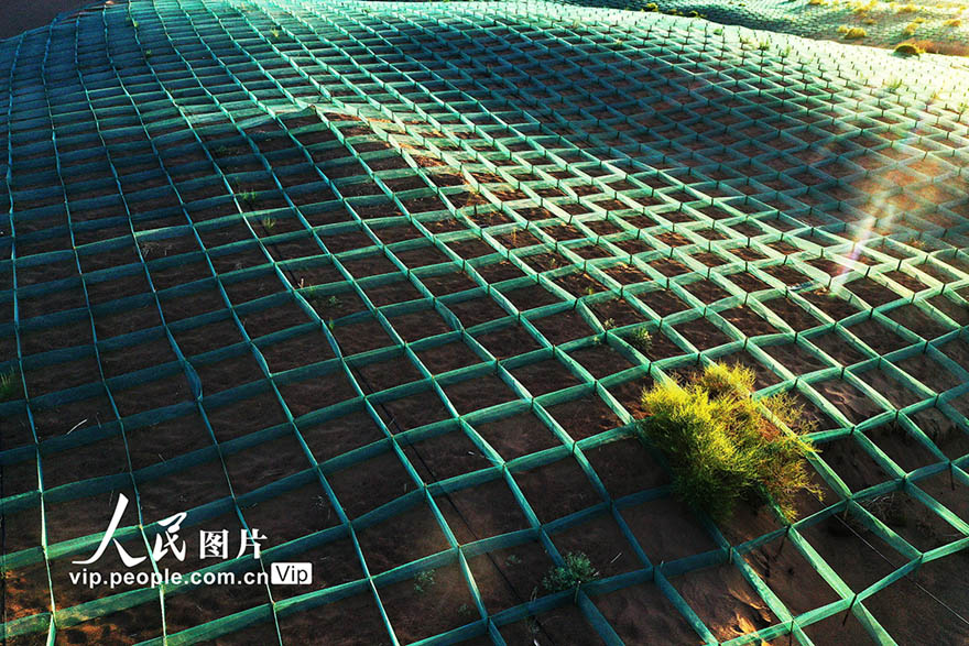 ??????? ????? ??? ????? ?? ?????? ?????? ??????