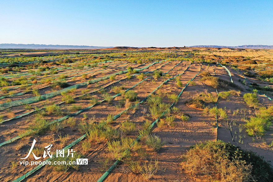 ??????? ????? ??? ????? ?? ?????? ?????? ??????