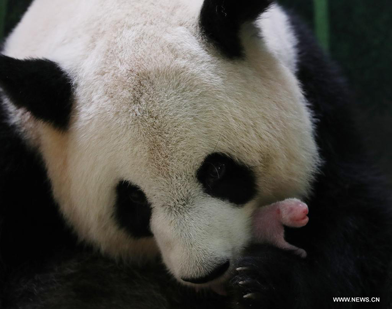 ????? ?????? ??? ????? ?? ????? ????? ??????