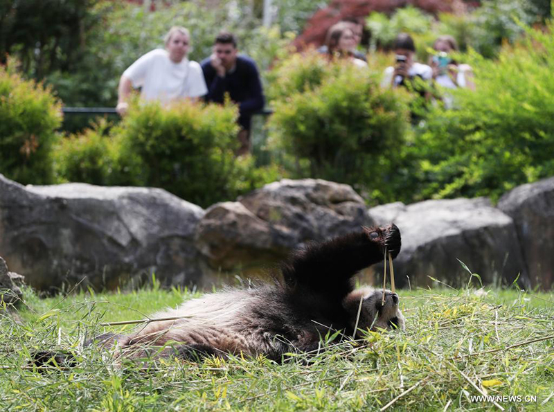 ????? ?????? ??? ????? ?? ????? ????? ??????