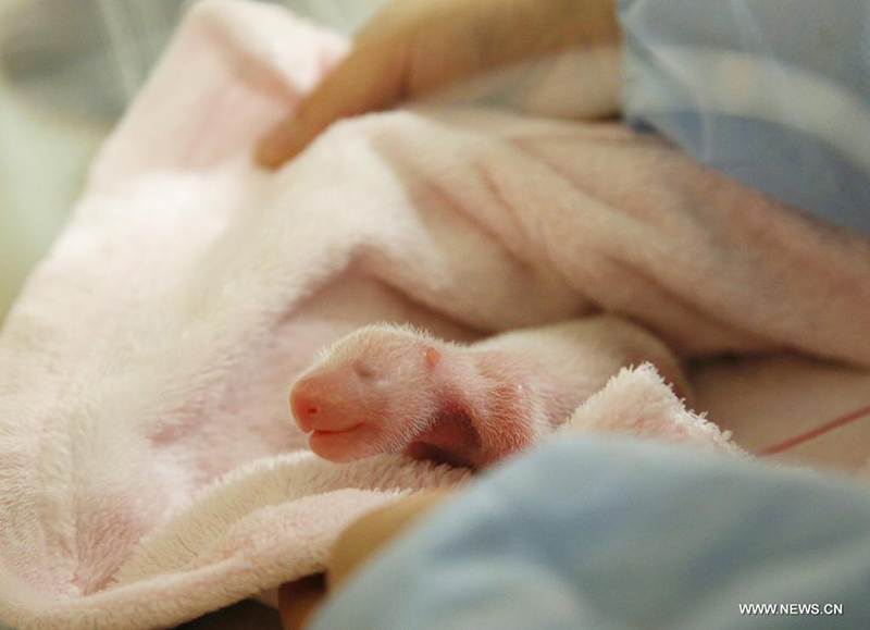 ????? ?????? ??? ????? ?? ????? ????? ??????