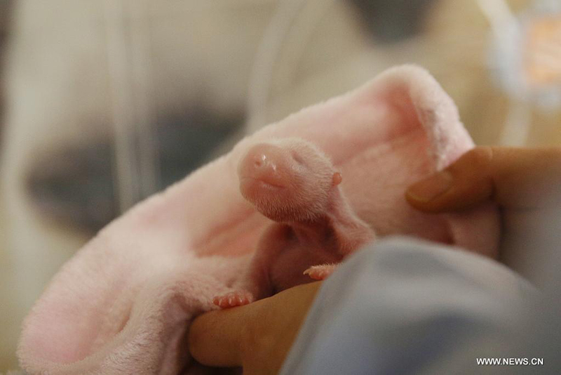 ????? ?????? ??? ????? ?? ????? ????? ??????