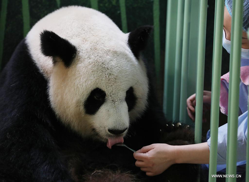 ????? ?????? ??? ????? ?? ????? ????? ??????