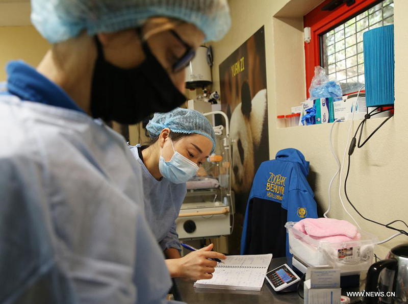 ????? ?????? ??? ????? ?? ????? ????? ??????