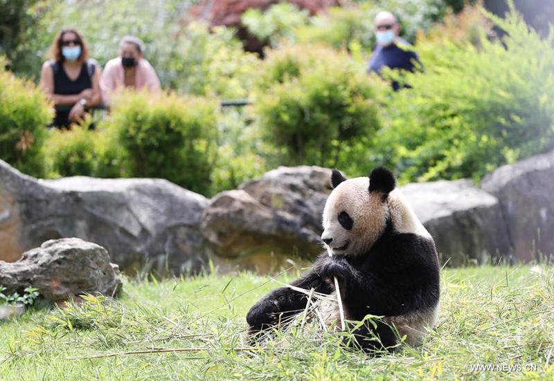 ????? ?????? ??? ????? ?? ????? ????? ??????