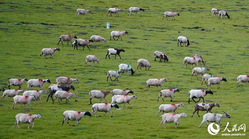 ???: ??????? ??????? ?????? ????????