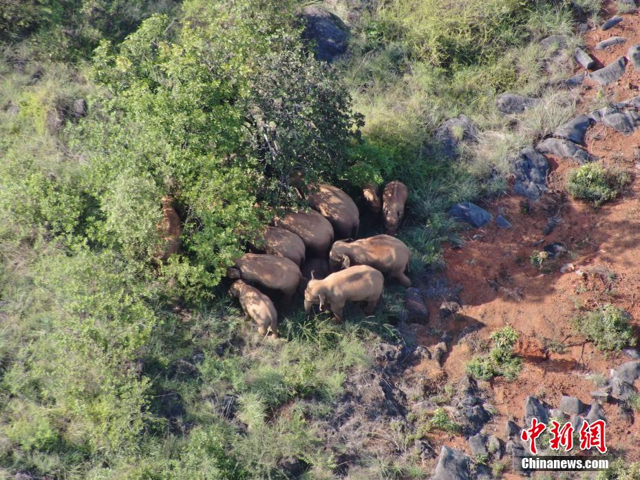 ???? ??????? ??????? ?? ????? ????? ?? ????? ???????? ?? ??????