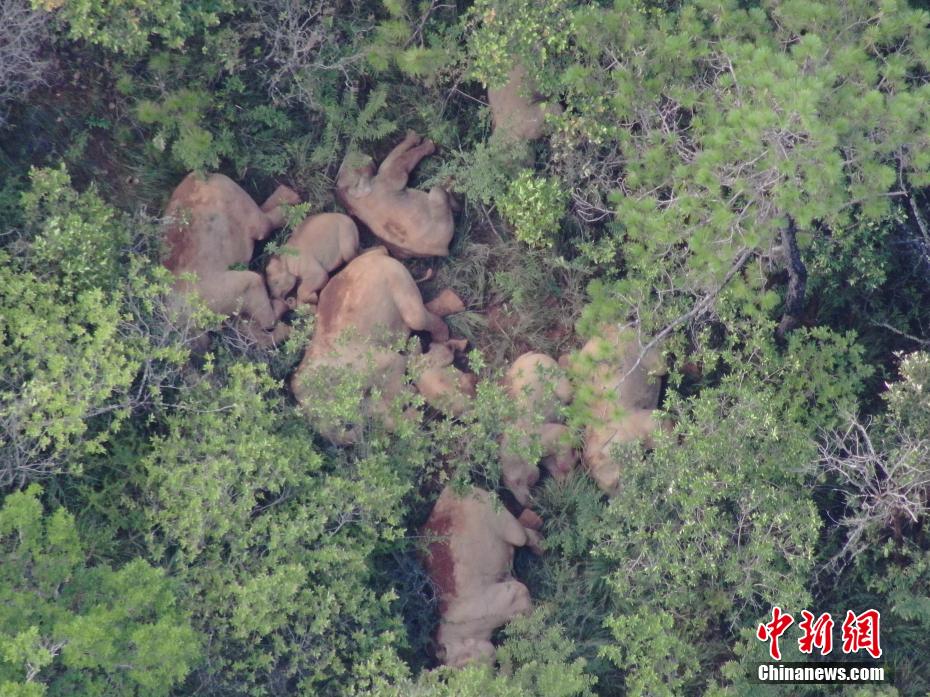 ???? ??????? ??????? ?? ????? ????? ?? ????? ???????? ?? ??????