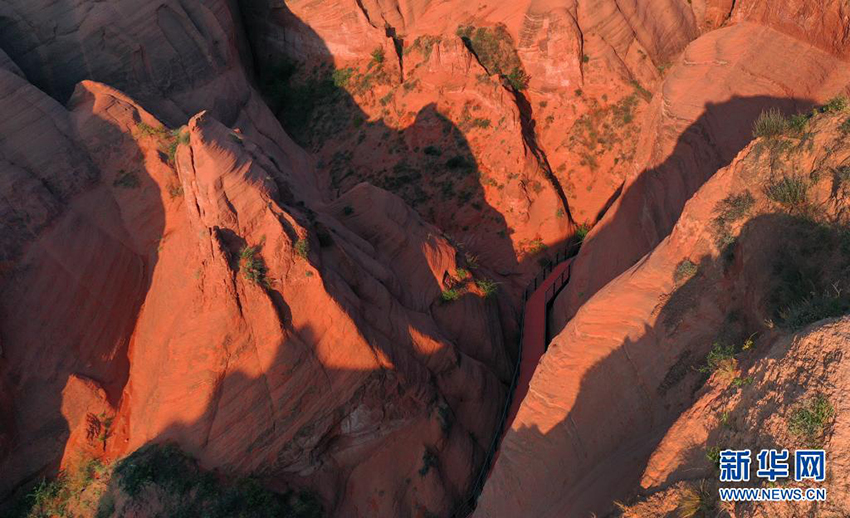 ??????? ??????? ?????? ?????? ????????? ??????? ????