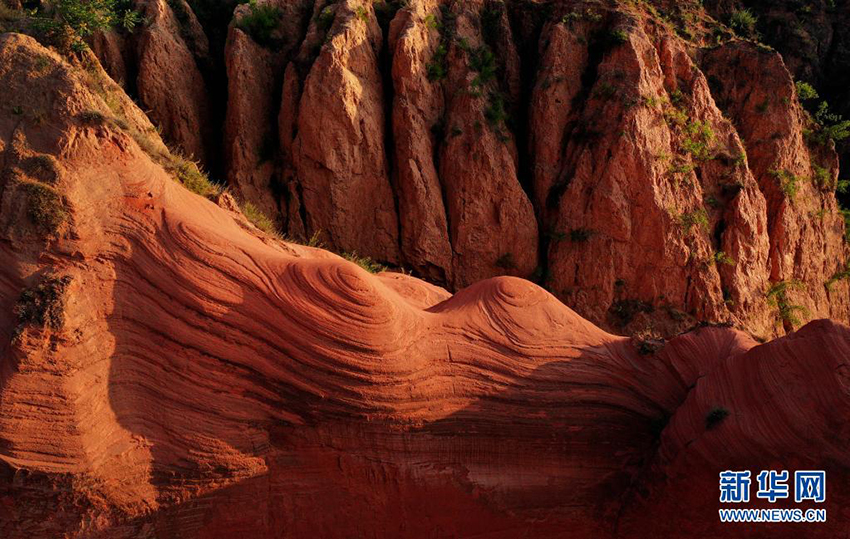 ??????? ??????? ?????? ?????? ????????? ??????? ????