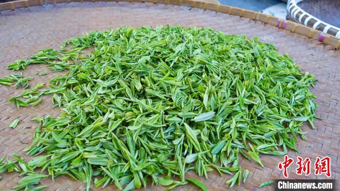 ?????: ??? ????? ?????? ?? ????? ?? ??????? ?? ??? ????????