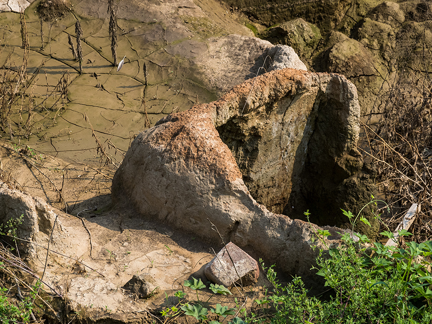 ????? ????? ???? ???? ??? ?????? ?? ??????