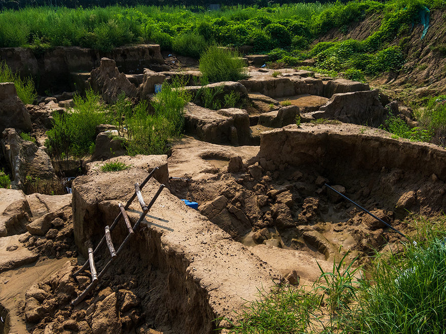 ????? ????? ???? ???? ??? ?????? ?? ??????