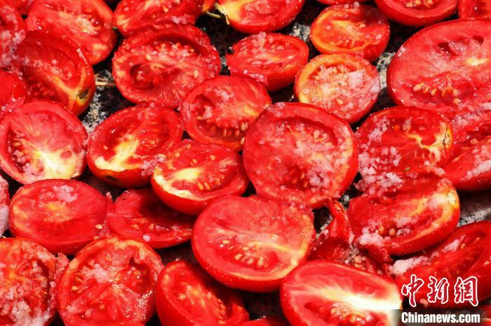 ????? ???????? ?????? ???? ??????????????????