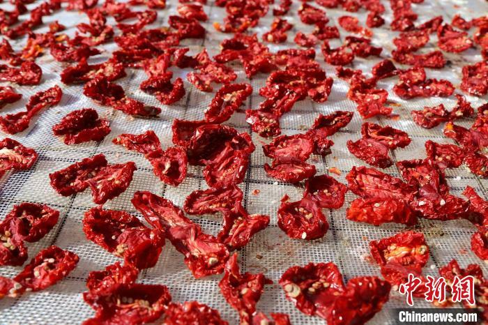 ????? ???????? ?????? ???? ??????????????????