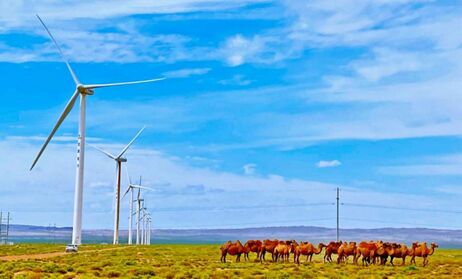 ??? ??? ??? ?? ???????.. ??? ??????? ???? ??????? ?????? ?? ????? ???? ????? 300 ????? ????