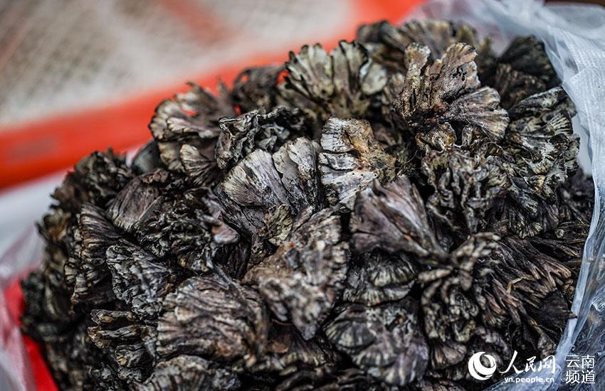 ???? ???? ????? ?? ?????? ??????