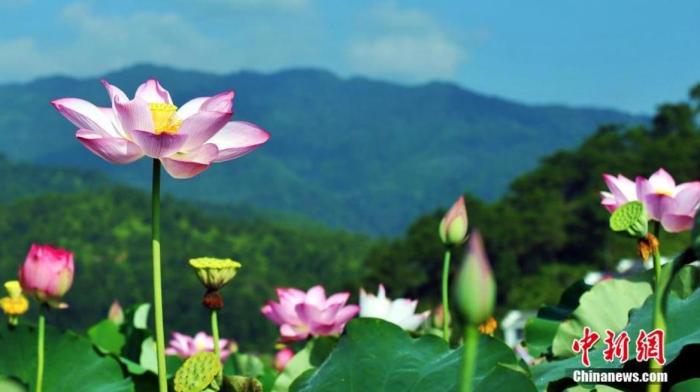 ????? ???? ???????? ??????? ???? ?????? ?? ??????? ??????? (10): ????? ??????? ???? ?????? ???????? ????? ??? ???????