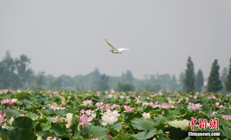 ????? ???? ???????? ??????? ???? ?????? ?? ??????? ??????? (10): ????? ??????? ???? ?????? ???????? ????? ??? ???????