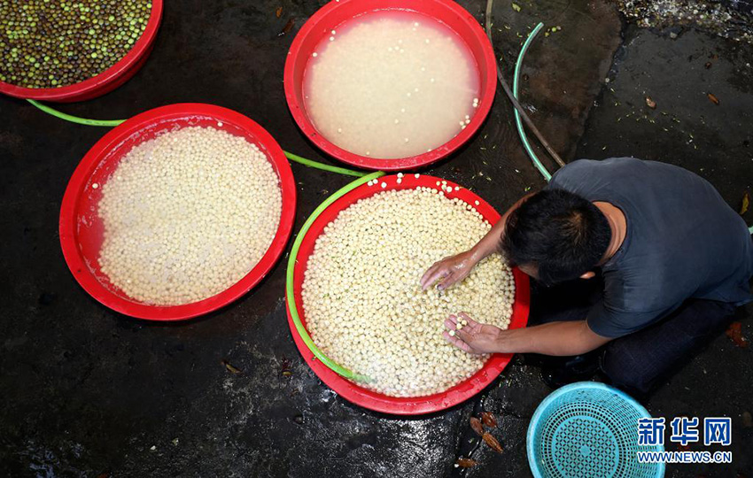 ????? ???? ???????? ??????? ???? ?????? ?? ??????? ??????? (10): ????? ??????? ???? ?????? ???????? ????? ??? ???????