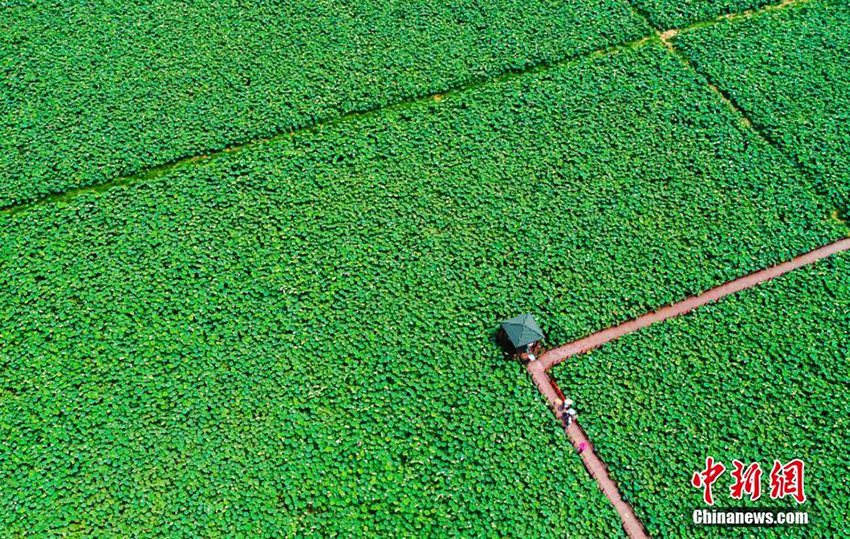 ????? ???? ???????? ??????? ???? ?????? ?? ??????? ??????? (10): ????? ??????? ???? ?????? ???????? ????? ??? ???????