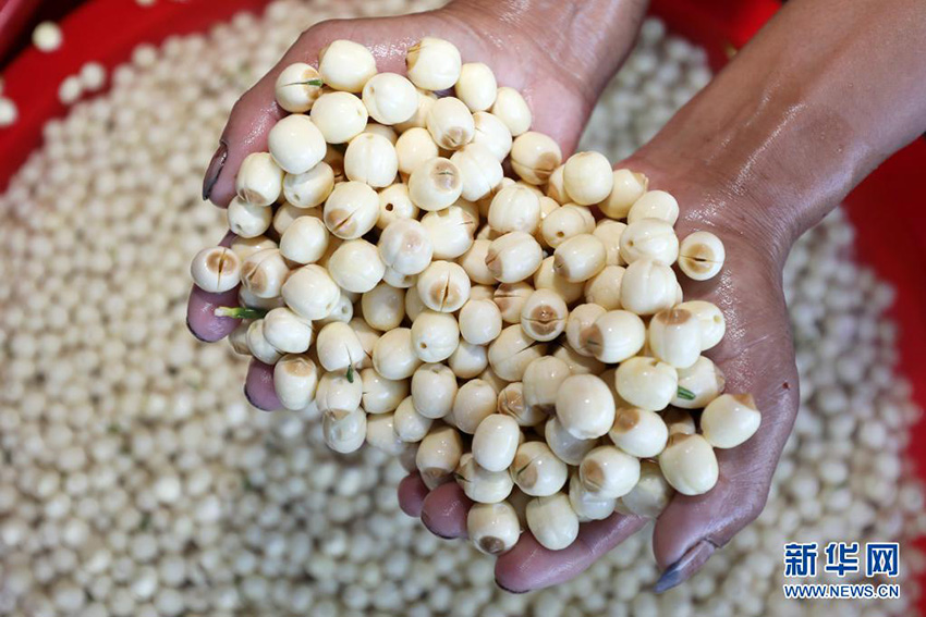 ????? ???? ???????? ??????? ???? ?????? ?? ??????? ??????? (10): ????? ??????? ???? ?????? ???????? ????? ??? ???????