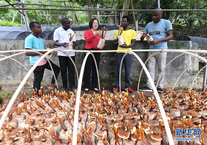 ?????? ???????? ???? ?????? ????? ????????? ????? 