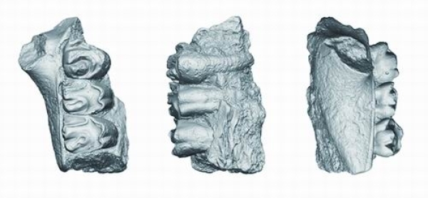 ?????? ?????? ????? ?????? ????? ????? ?? ???? ???? ?????