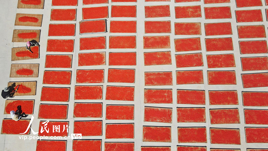 ???????? ?????: ???? ????? ???? ????? ???????