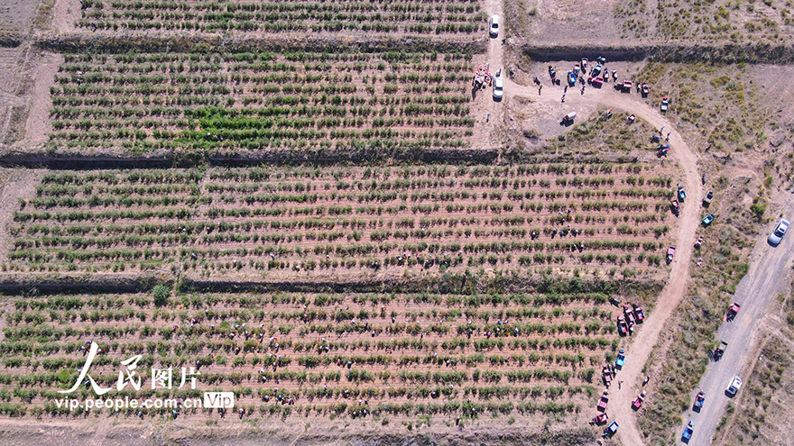 ???????? ?????: ???? ????? ???? ????? ???????