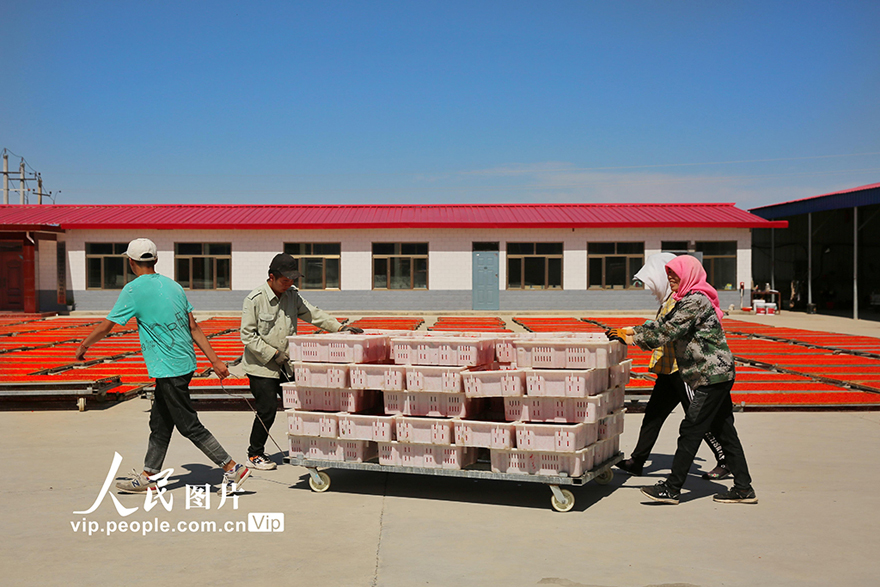 ???????? ?????: ???? ????? ???? ????? ???????