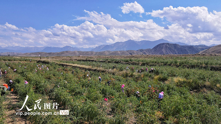 ???????? ?????: ???? ????? ???? ????? ???????