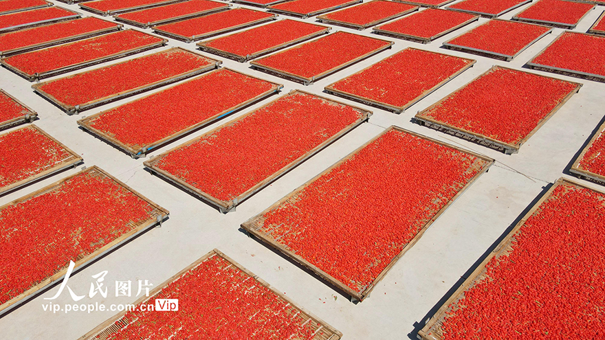 ???????? ?????: ???? ????? ???? ????? ???????