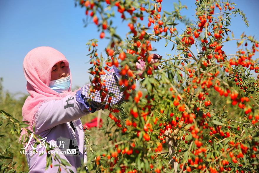 ???????? ?????: ???? ????? ???? ????? ???????