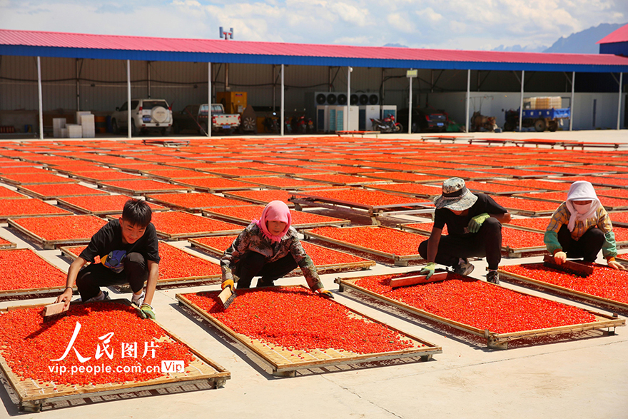 ???????? ?????: ???? ????? ???? ????? ???????