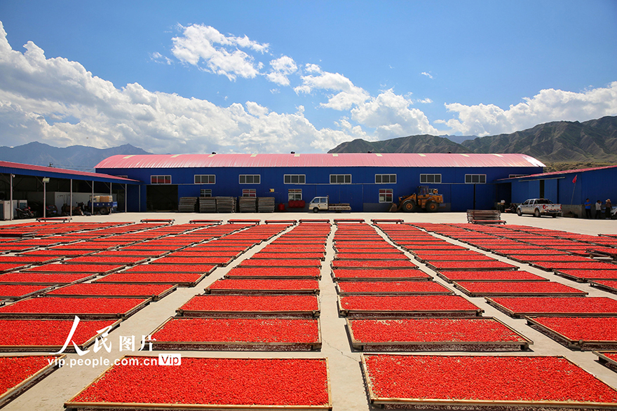 ???????? ?????: ???? ????? ???? ????? ???????