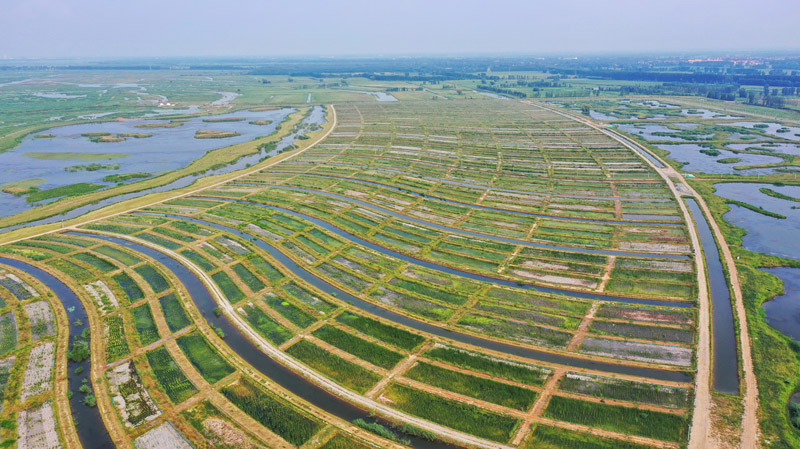 ???? ????? ?????? ?? ????? ??? ???? ????