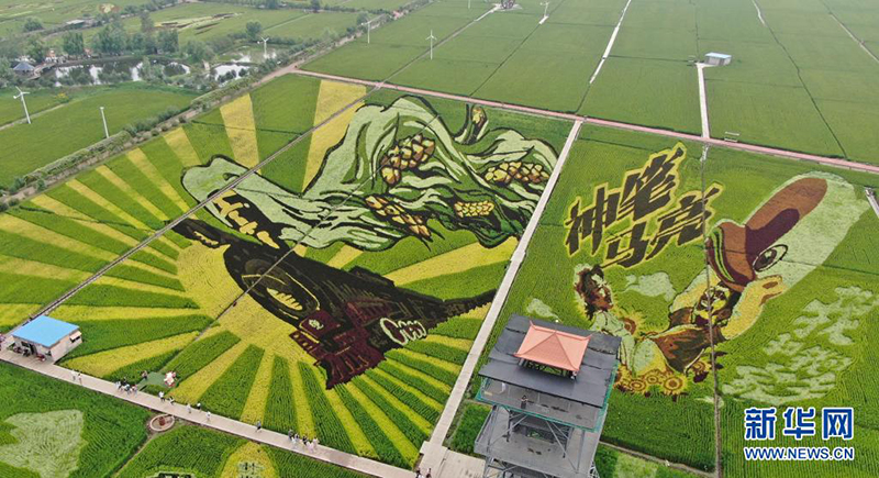 ????? ???? ??? ?????? ???? ??????? ?? ????????