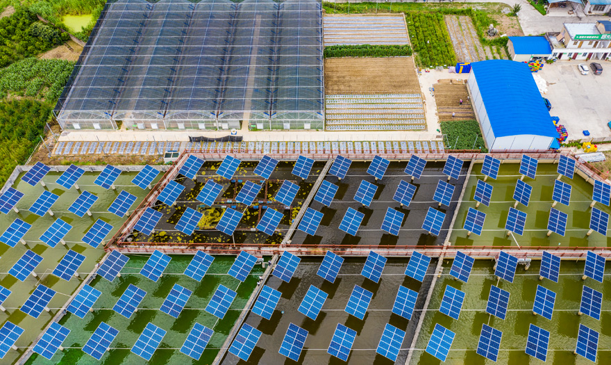 ????? ??????? ?????? ?????? ??????? ?? ????? ???? ????????? ???? ???? ?????