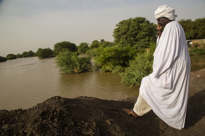 ??????? ????????? ???? ???? 43 ???? ???? ?????? ??????????