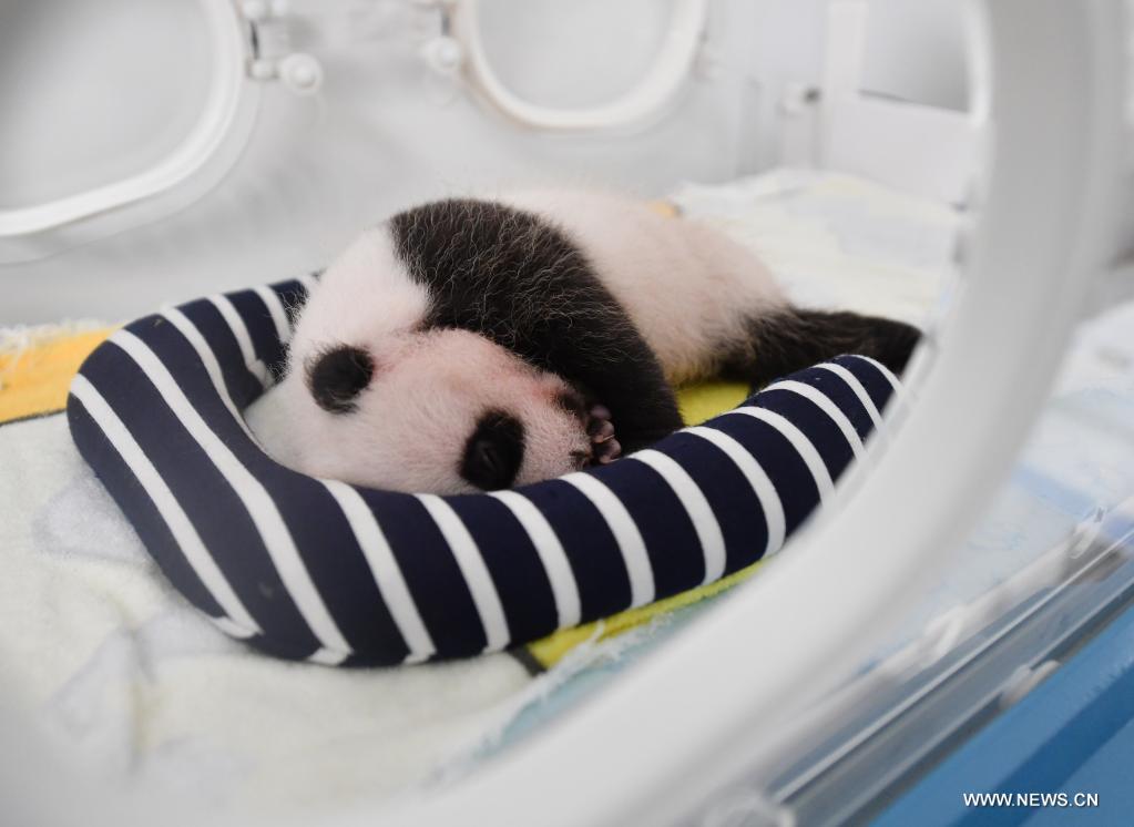 ???? ????? ?????? ?? ???? ????? ?? ???? ???? ?????