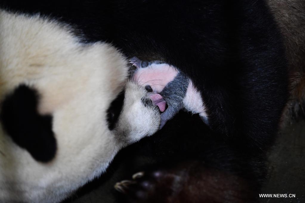 ???? ????? ?????? ?? ???? ????? ?? ???? ???? ?????