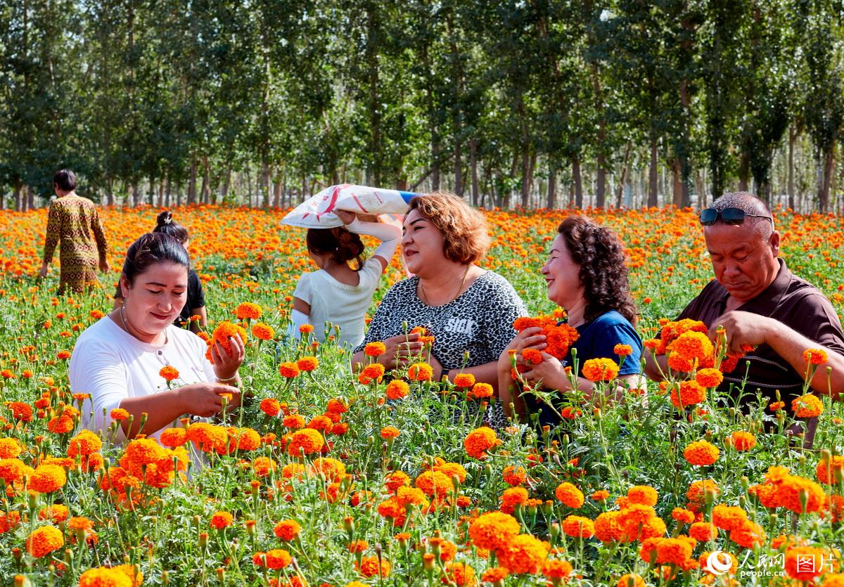 ????? ???? ???? ??????? ???????? ?? ???????? ????????