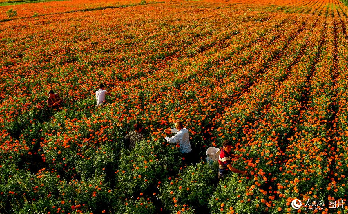 ????? ???? ???? ??????? ???????? ?? ???????? ????????