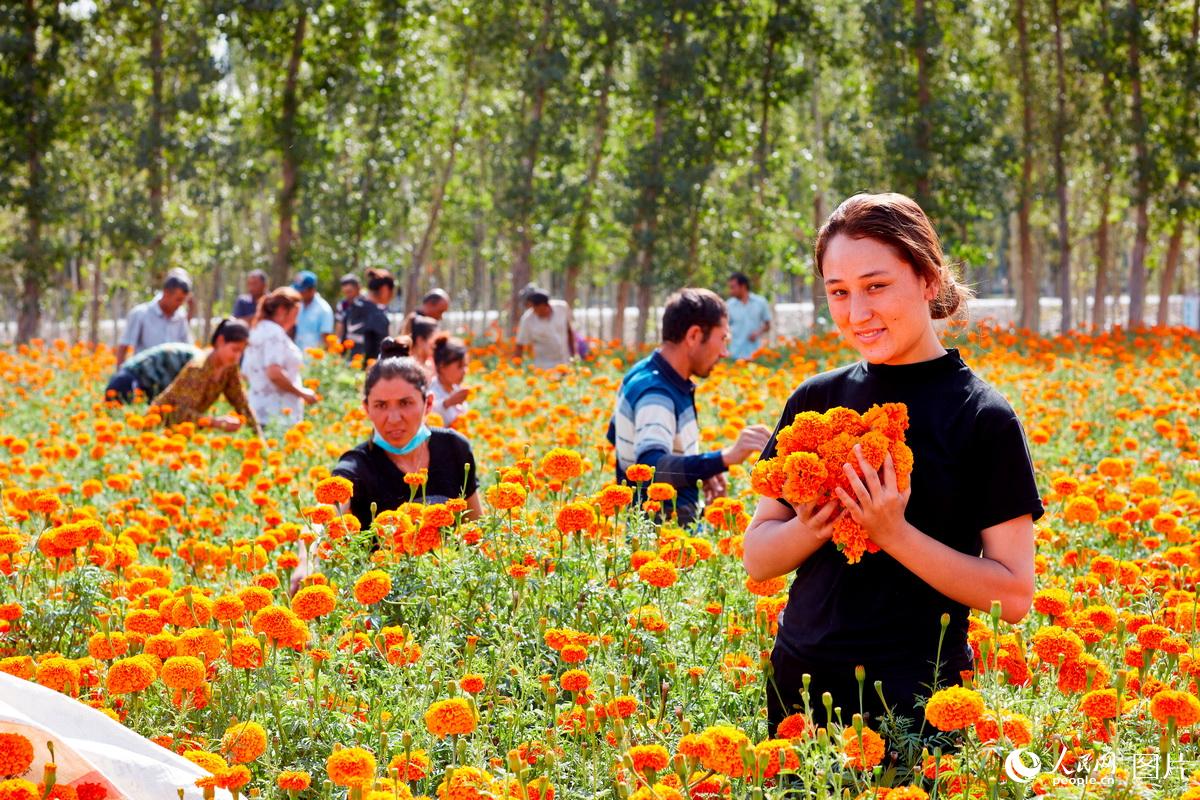 ????? ???? ???? ??????? ???????? ?? ???????? ????????