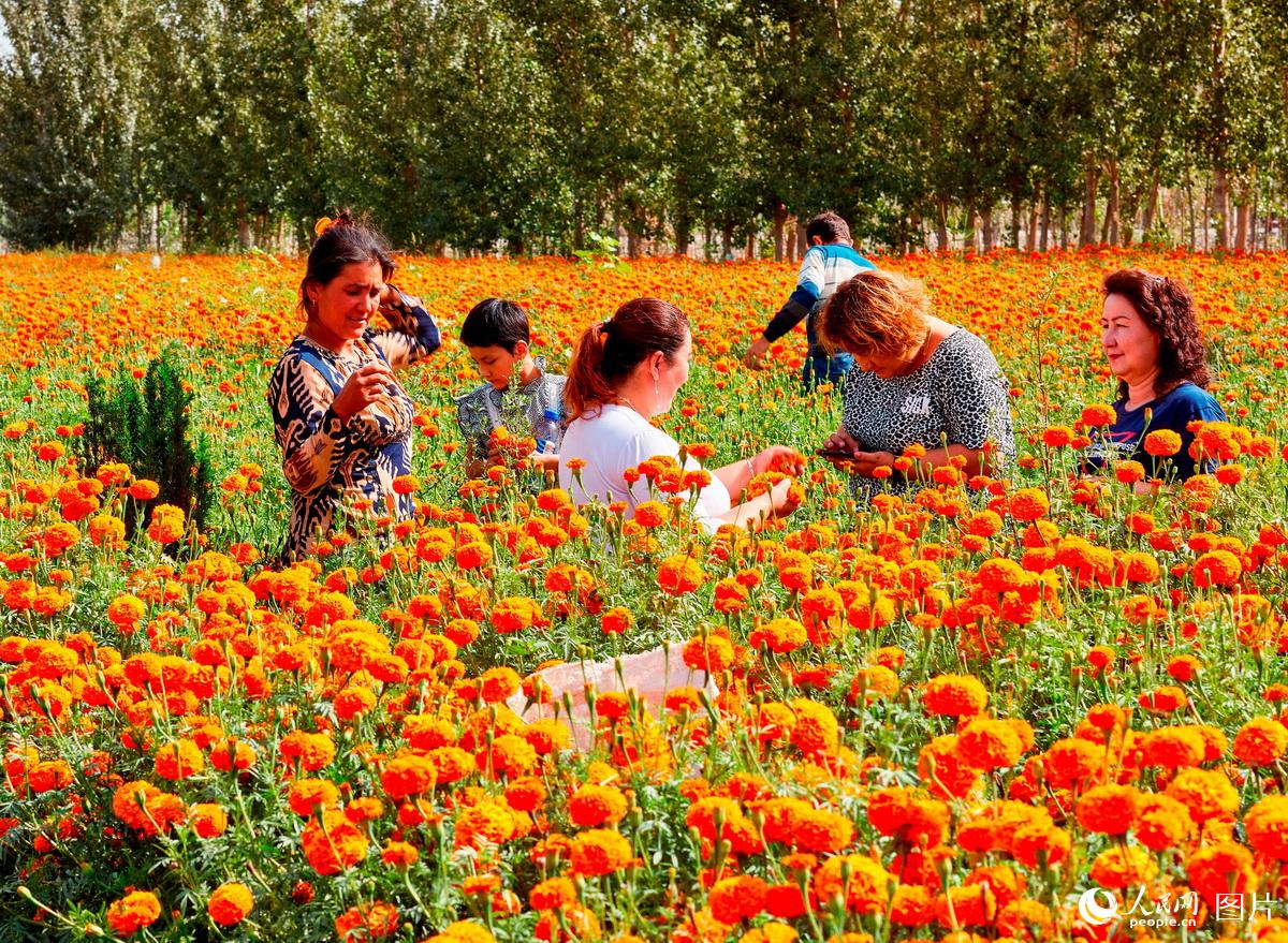 ????? ???? ???? ??????? ???????? ?? ???????? ????????