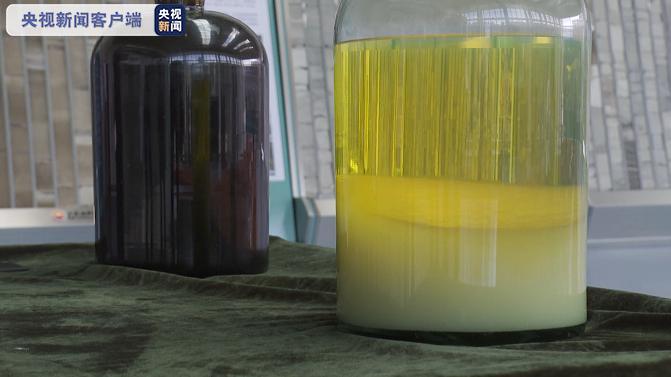 ????? ????? ??? ??? ???? ?????