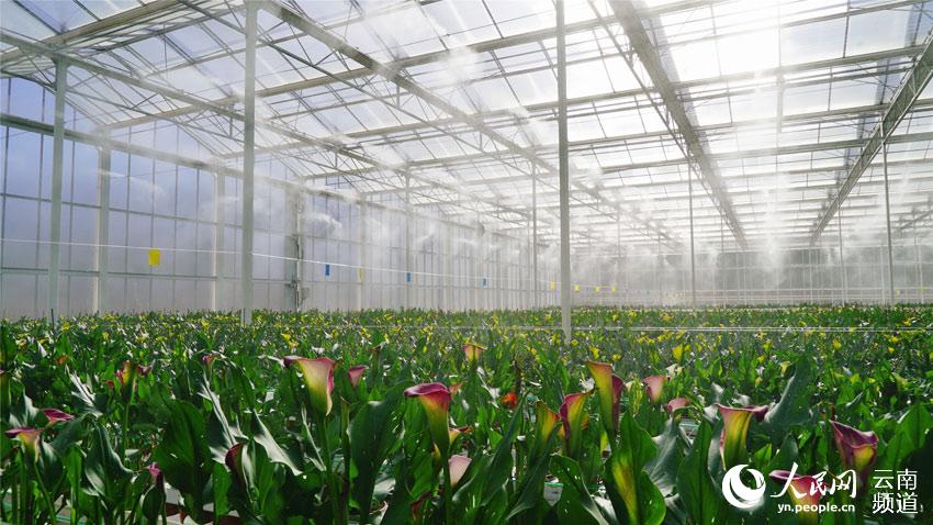 ???????? ??????: ?????? ???? ?????? ??????? ?? ?????