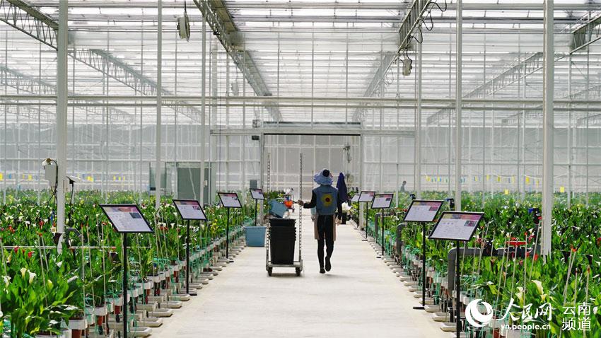 ???????? ??????: ?????? ???? ?????? ??????? ?? ?????